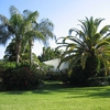 Conch Tree & Landscape Professionals gallery