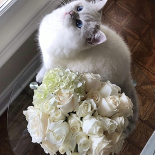 French Florist - Orange County - Costa Mesa, CA