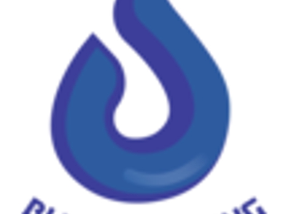 Blue Plumbing LLC