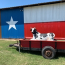 Yesterland Farm - Farms