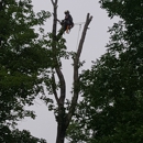 Oakes Tree Service & Rubish Removal - Tree Service