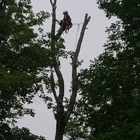 Oakes Tree Service & Rubish Removal