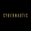 Cybernautic Web Design gallery