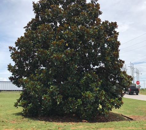 People's United Bank - Eatonton, GA