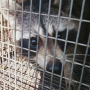 Ark Trapping - Pest Control Equipment & Supplies