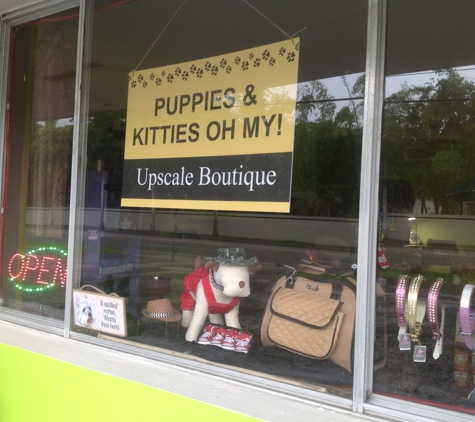 Puppies & Kitties Oh My! - Fort Myers, FL