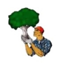 Bishops Tree Service Inc. - Arborists