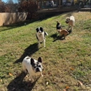 Pet Nanny Pet Care - Pet Services