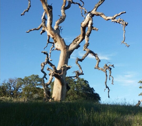 Henry W Coe State Park - Morgan Hill, CA