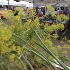 Bellingham Farmers Market