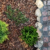 Garden Shop Landscaping gallery