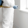 Expert Pest Control Solutions gallery