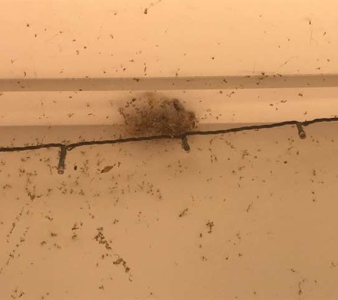 Rack Attack Pest Control - Chinchilla, QLD