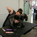 K-9 to Five, Doggy Playcare & Spa - Dog Day Care