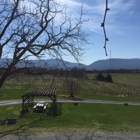 Shenandoah Vineyards