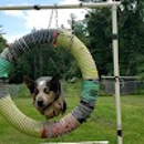 Truly Balanced Dog Care - Pet Boarding & Kennels
