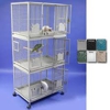 AV Exotic Birds and Supplies gallery