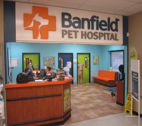 Banfield Pet Hospital - Springfield, VA