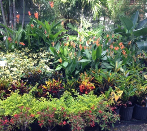 Kathy's Korner Nursery Inc - Saint Petersburg, FL