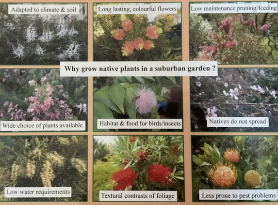 Paul's Plants - Carrara, QLD. WHY I GROW NATIVE PLANTS