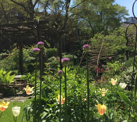 Clinton Community Garden - New York, NY