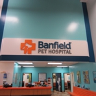 Banfield Pet Hospital