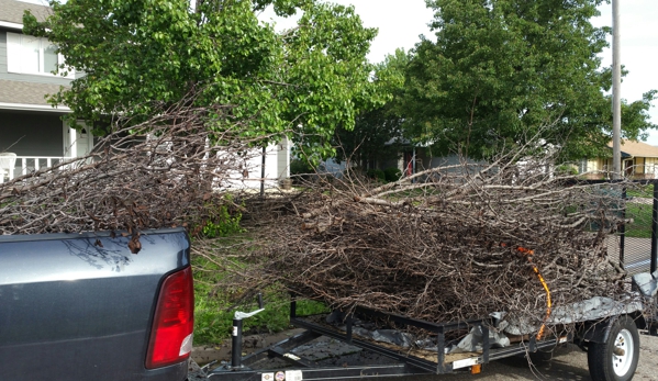 A-1 Hauling and Junk Removal - Wichita, KS