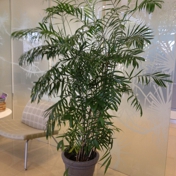 Gallery Image Number 3