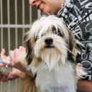 Crysler Animal Hospital - Veterinarians