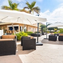 Ocean Club Treasure Island Hotel - Motels