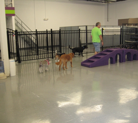 Camp Ruff It Doggie Daycare & Boarding - Carol Stream, IL