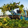 Pond Guru | Lake and Pond Management gallery