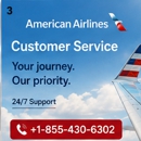 American Airlines - Airlines