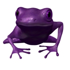 Violet Frog Environmental