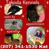 Takoda Kennels gallery