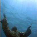 Sea Dwellers Dive Center - Divers