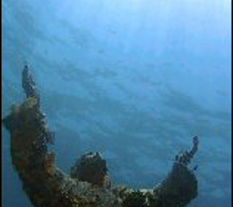 Sea Dwellers Dive Center - Key Largo, FL