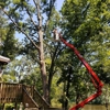 Bobby's Tree Service gallery