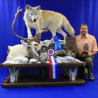 Lastella Taxidermy