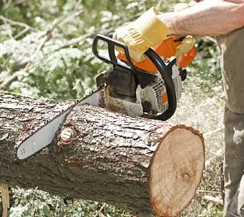 Trimmer Up Tree Service LLC - Deatsville, AL