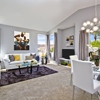 Viviani Apartment Homes gallery