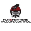 Fur & Feathers Wildlife Control gallery