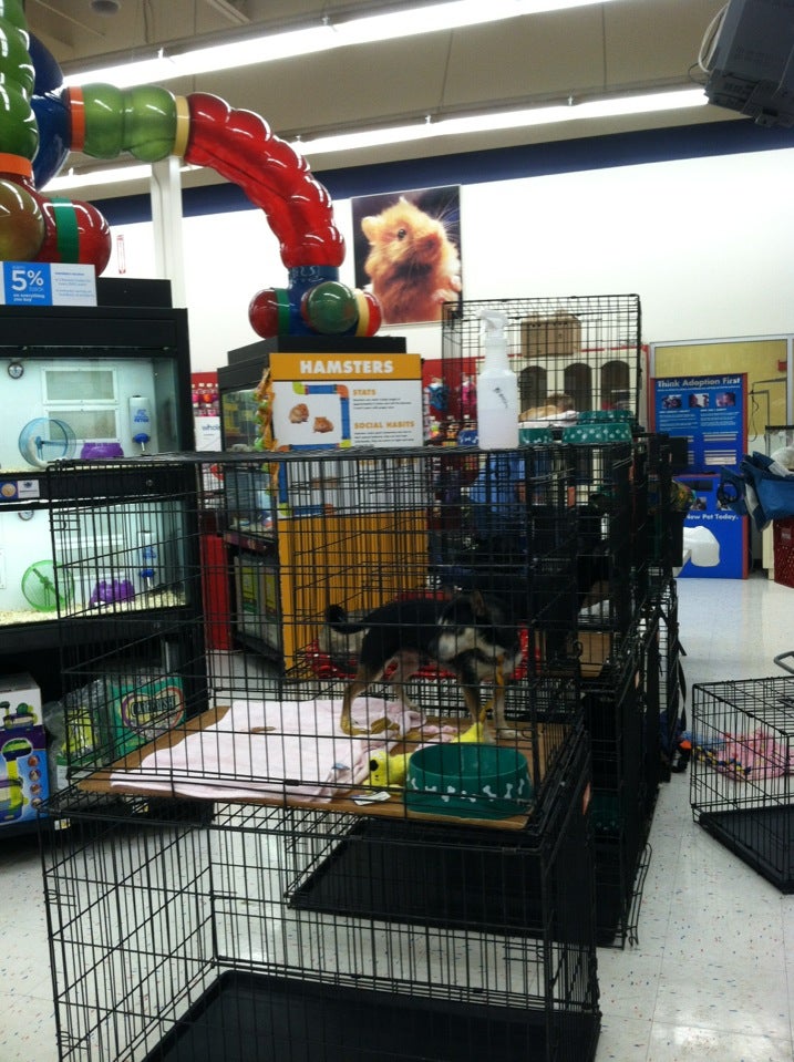 Petco Avondale AZ 85392