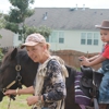 Pony Parties by Janet Menetrier gallery