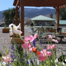 Flying U RV Park