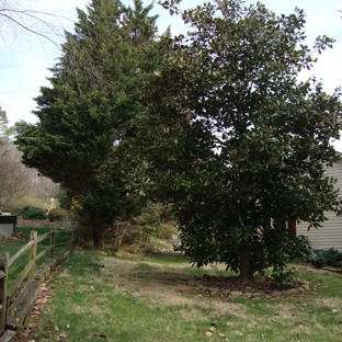 NENO`S LANDSCAPING LLC - cleveland, TN