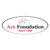 Ace Foundation gallery