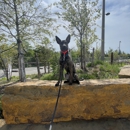 Off Leash K9 Training of Oklahoma