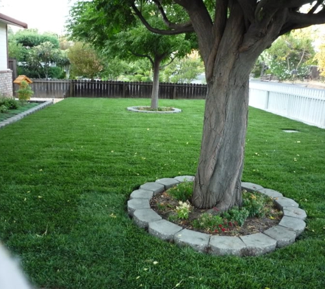 Sod and Seed - Martinez, CA