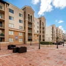 Gables Grand Plaza Apartments - Apartments